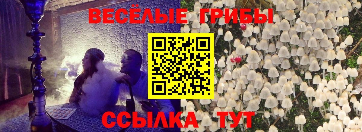Кудрово  Псилоцибиновые грибы ЛСД  Вход с VPN 