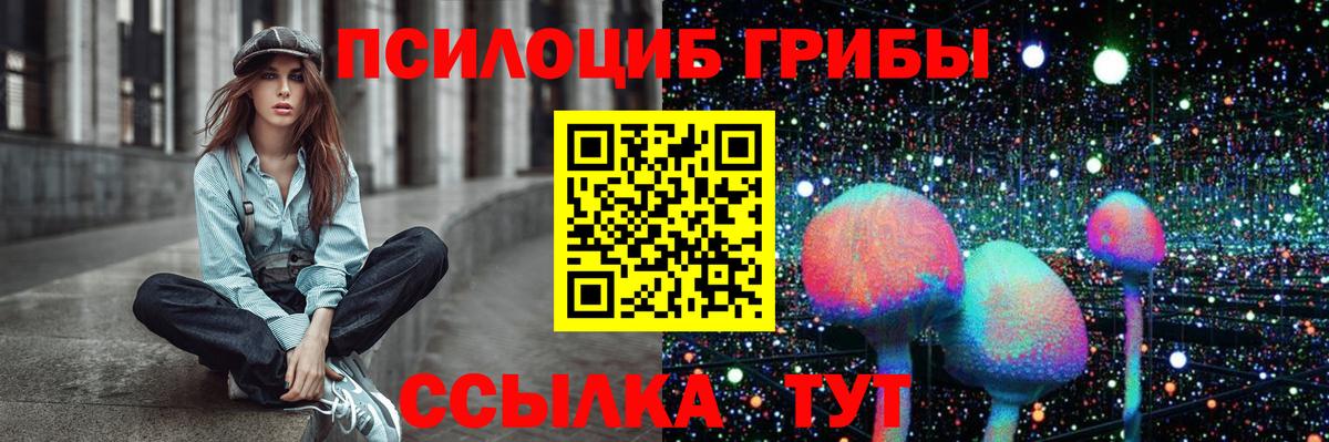 Псилоцибиновые грибы Psilocybine cubensis Кудрово