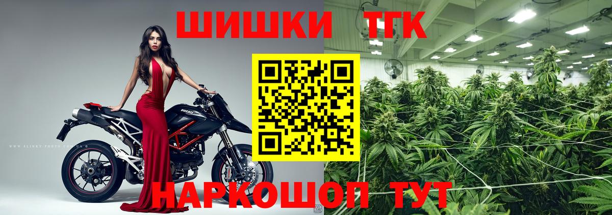 Конопля SATIVA & INDICA Кудрово